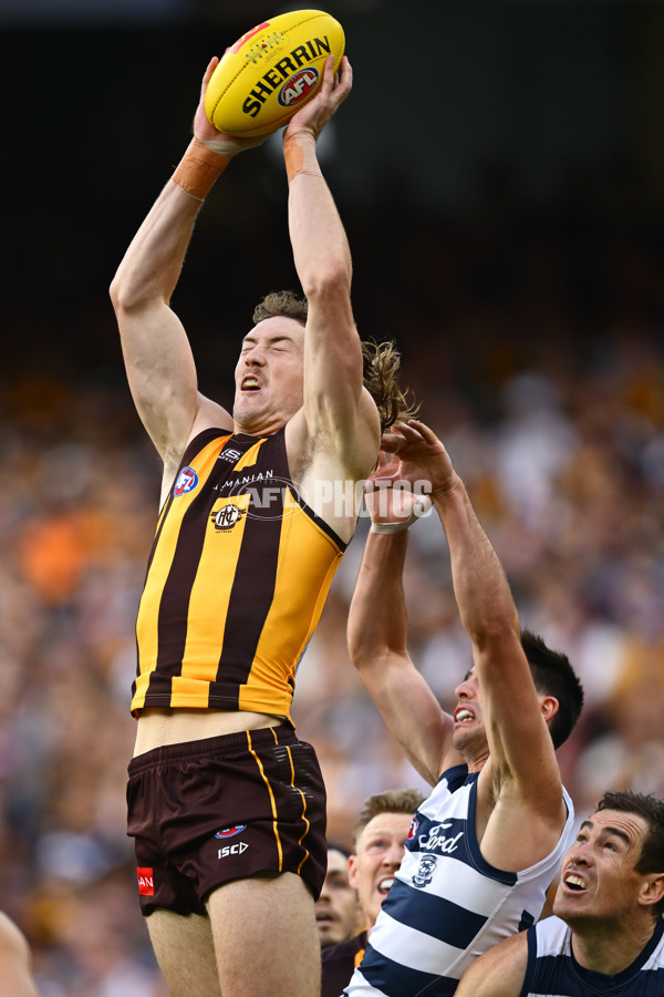 AFL 2025 Round 06 - Geelong v Hawthorn - A-58835797
