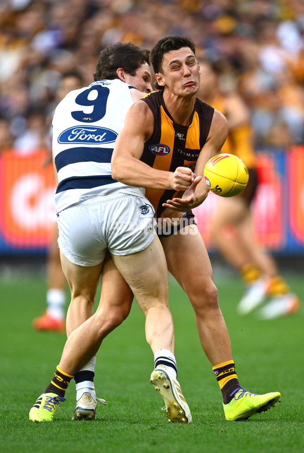 AFL 2025 Round 06 - Geelong v Hawthorn - A-58835802