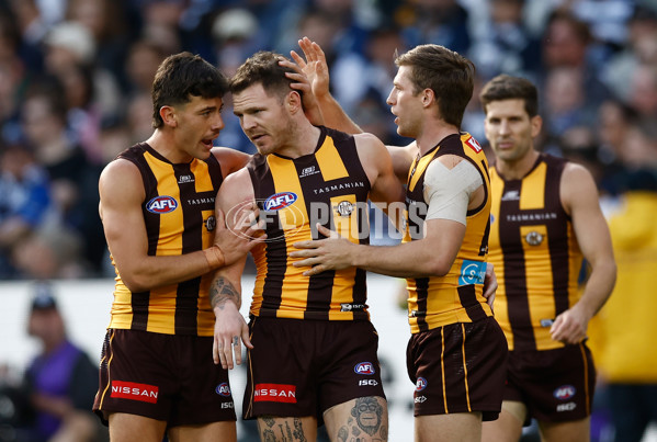 AFL 2025 Round 06 - Geelong v Hawthorn - A-58835808