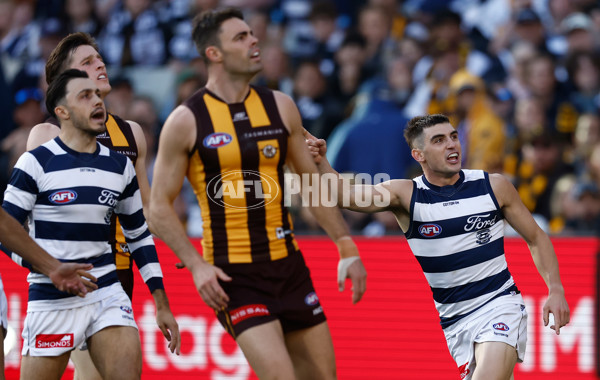 AFL 2025 Round 06 - Geelong v Hawthorn - A-58835810