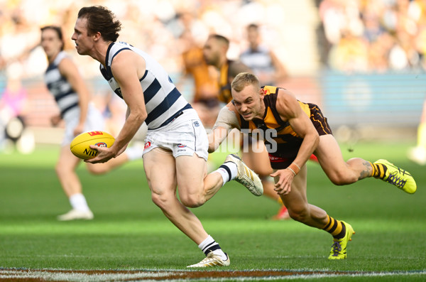 AFL 2025 Round 06 - Geelong v Hawthorn - A-58835821
