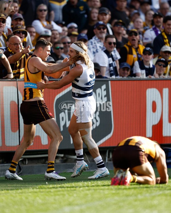 AFL 2025 Round 06 - Geelong v Hawthorn - A-58835825