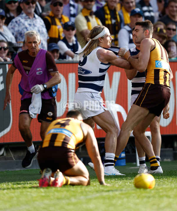 AFL 2025 Round 06 - Geelong v Hawthorn - A-58835826