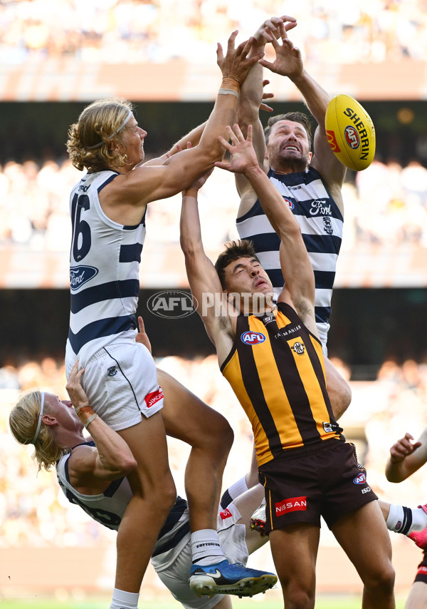 AFL 2025 Round 06 - Geelong v Hawthorn - A-58835832