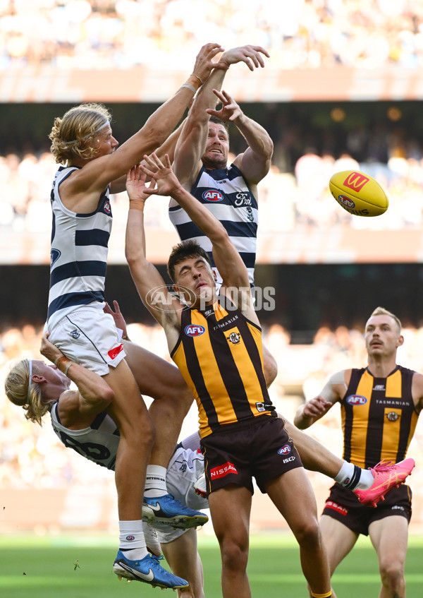 AFL 2025 Round 06 - Geelong v Hawthorn - A-58838863