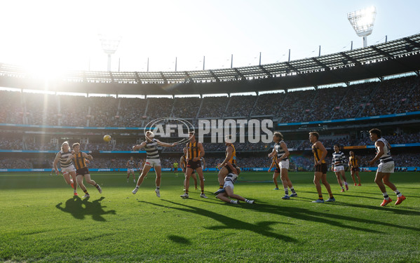 AFL 2025 Round 06 - Geelong v Hawthorn - A-58838869