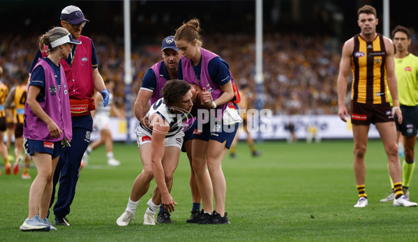 AFL 2025 Round 06 - Geelong v Hawthorn - A-58838923