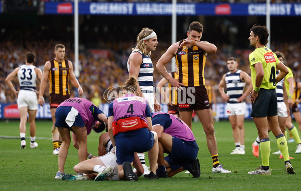 AFL 2025 Round 06 - Geelong v Hawthorn - A-58838924