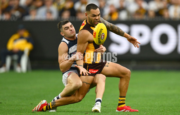 AFL 2025 Round 06 - Geelong v Hawthorn - A-58838934