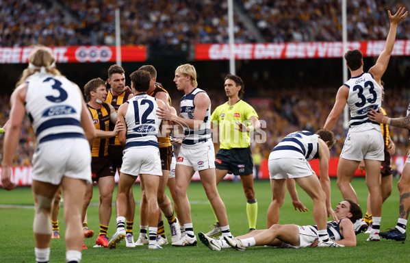 AFL 2025 Round 06 - Geelong v Hawthorn - A-58838935