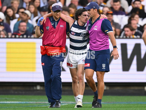 AFL 2025 Round 06 - Geelong v Hawthorn - A-58838939