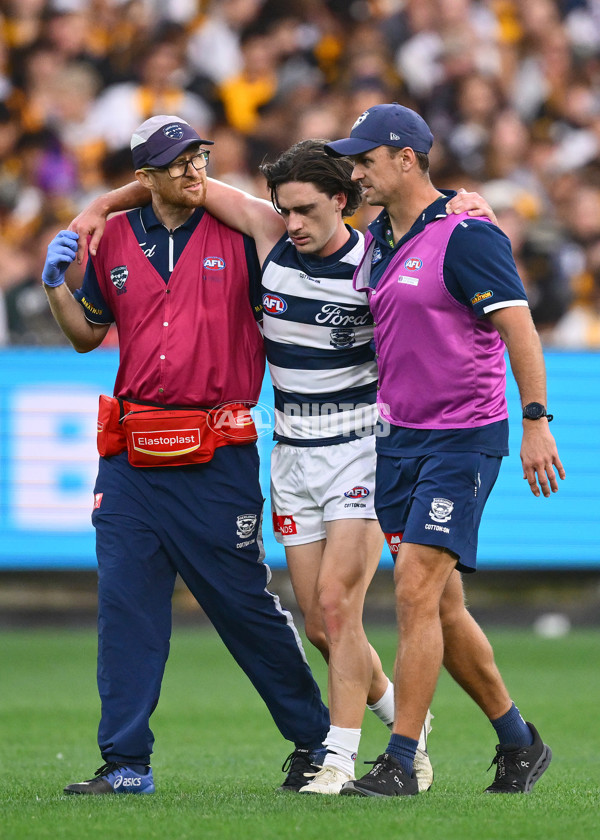 AFL 2025 Round 06 - Geelong v Hawthorn - A-58838940