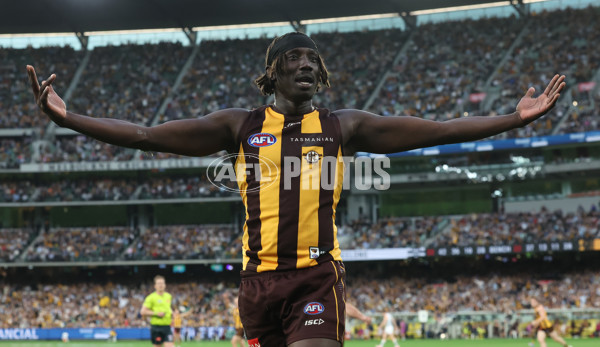 AFL 2025 Round 06 - Geelong v Hawthorn - A-58838951