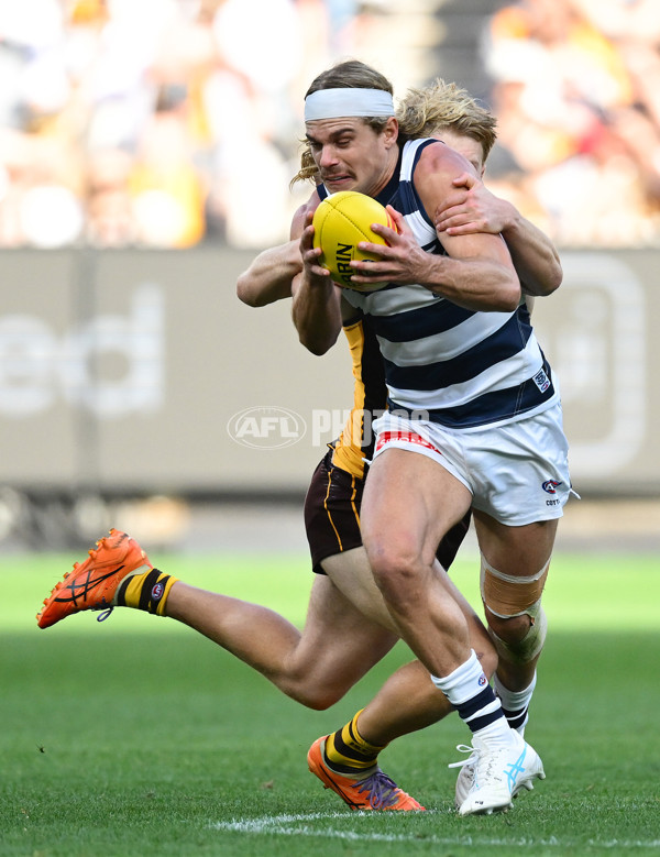 AFL 2025 Round 06 - Geelong v Hawthorn - A-58839279