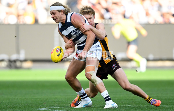 AFL 2025 Round 06 - Geelong v Hawthorn - A-58839280
