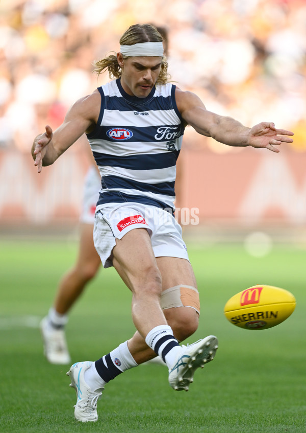 AFL 2025 Round 06 - Geelong v Hawthorn - A-58839300