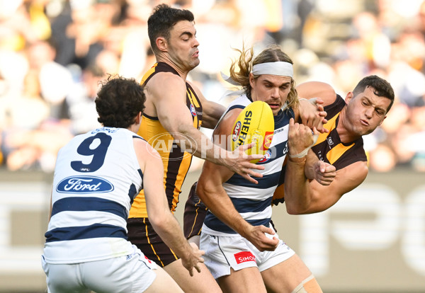 AFL 2025 Round 06 - Geelong v Hawthorn - A-58839302