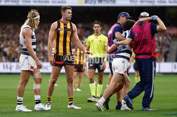 AFL 2025 Round 06 - Geelong v Hawthorn - A-58839309