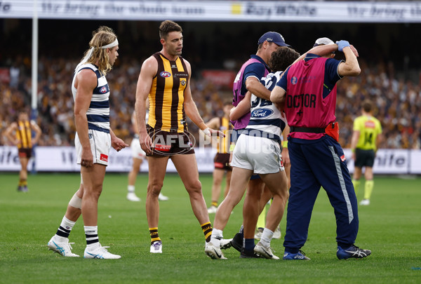 AFL 2025 Round 06 - Geelong v Hawthorn - A-58839310
