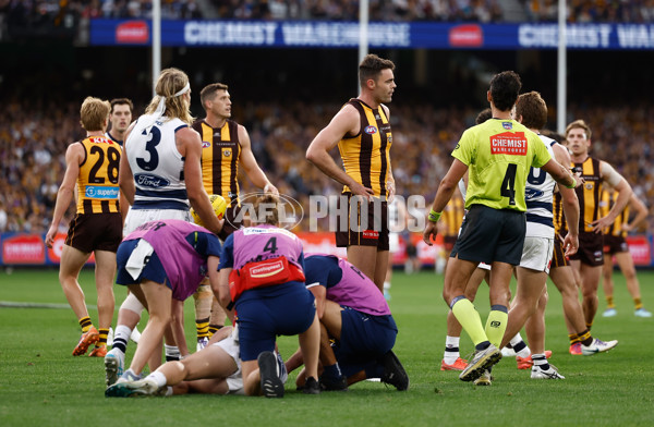 AFL 2025 Round 06 - Geelong v Hawthorn - A-58839313