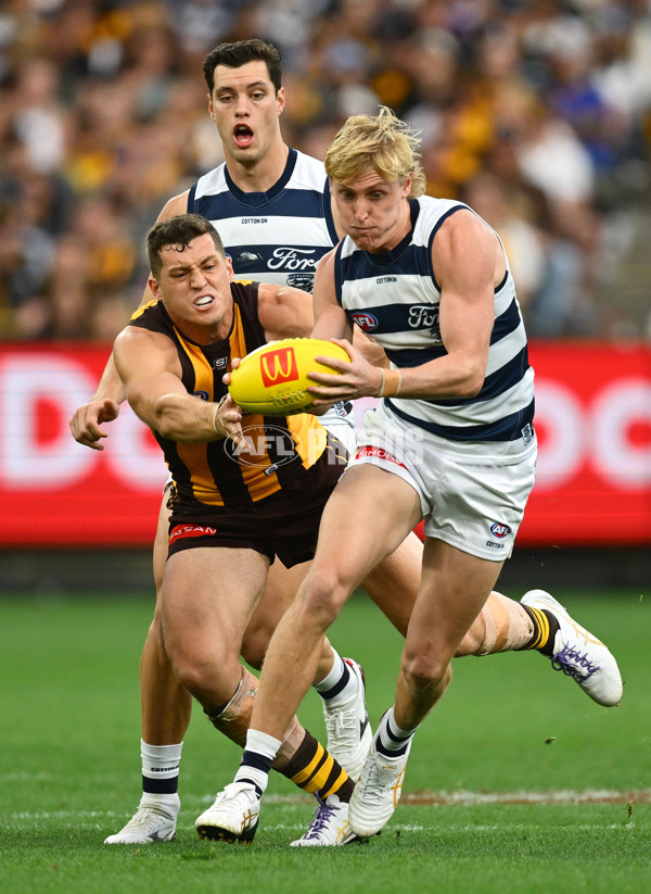 AFL 2025 Round 06 - Geelong v Hawthorn - A-58839318