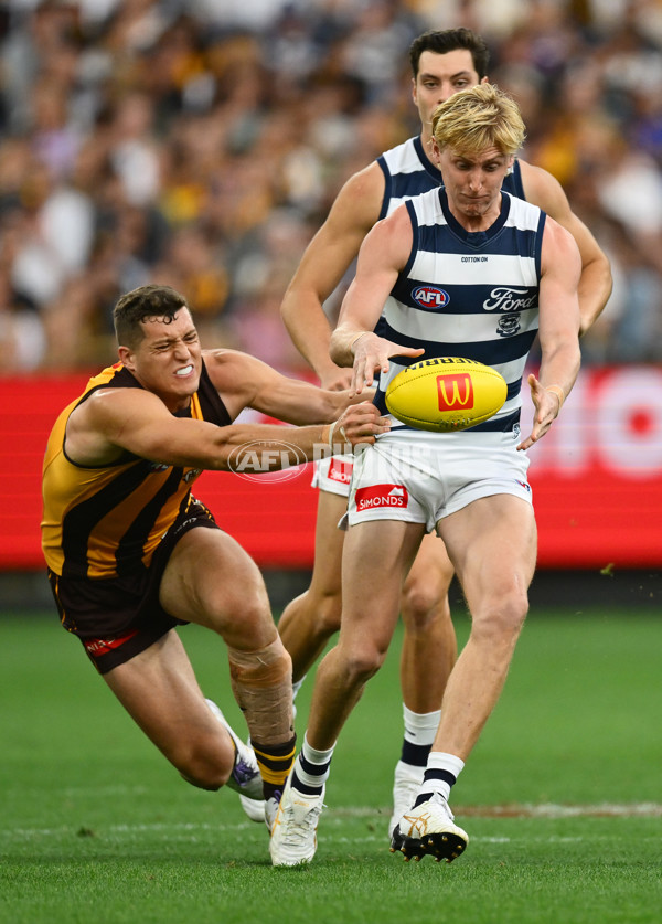 AFL 2025 Round 06 - Geelong v Hawthorn - A-58839319