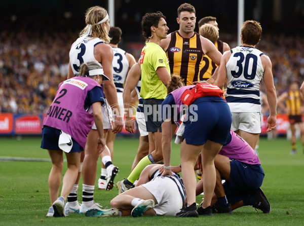 AFL 2025 Round 06 - Geelong v Hawthorn - A-58839324