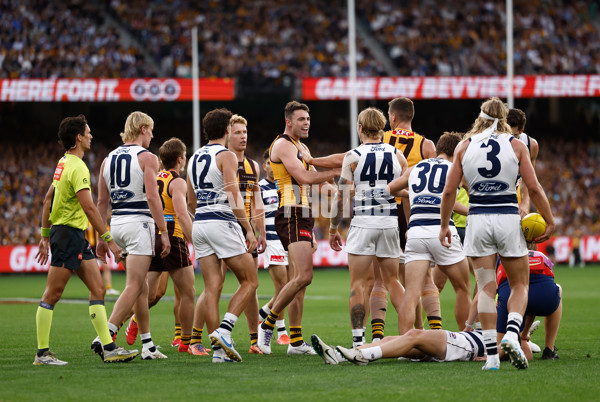 AFL 2025 Round 06 - Geelong v Hawthorn - A-58839325