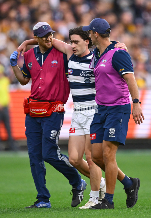 AFL 2025 Round 06 - Geelong v Hawthorn - A-58839334