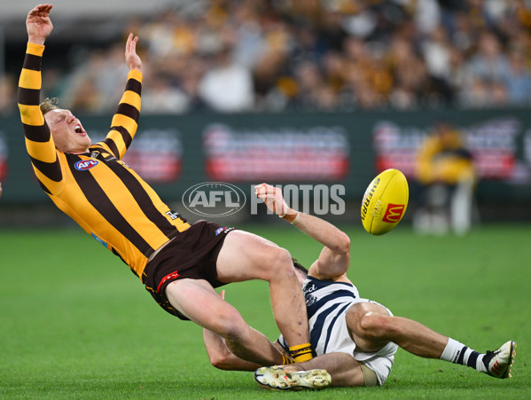 AFL 2025 Round 06 - Geelong v Hawthorn - A-58841604
