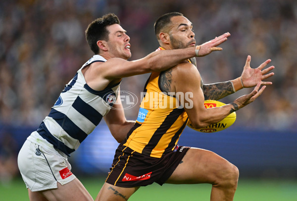 AFL 2025 Round 06 - Geelong v Hawthorn - A-58841613