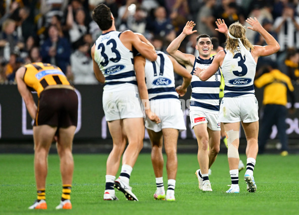 AFL 2025 Round 06 - Geelong v Hawthorn - A-58841619
