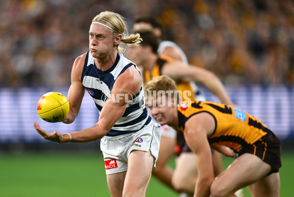 AFL 2025 Round 06 - Geelong v Hawthorn - A-58841630