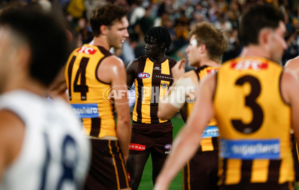 AFL 2025 Round 06 - Geelong v Hawthorn - A-58841649