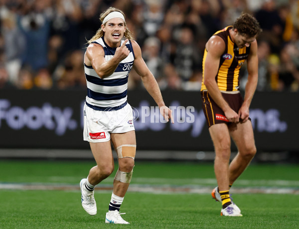 AFL 2025 Round 06 - Geelong v Hawthorn - A-58841654
