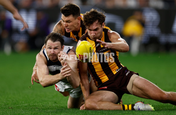 AFL 2025 Round 06 - Geelong v Hawthorn - A-58841659