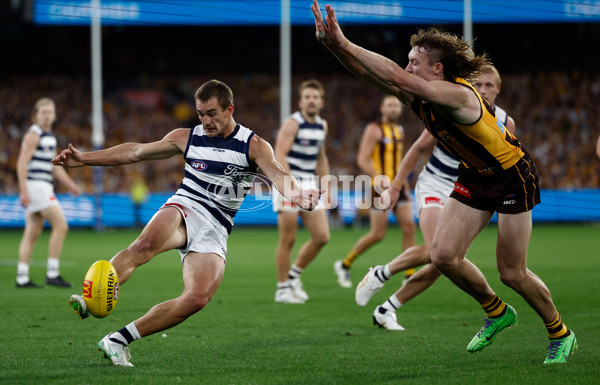 AFL 2025 Round 06 - Geelong v Hawthorn - A-58841682