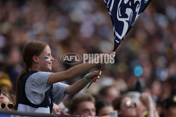 AFL 2025 Round 06 - Geelong v Hawthorn - A-58841684