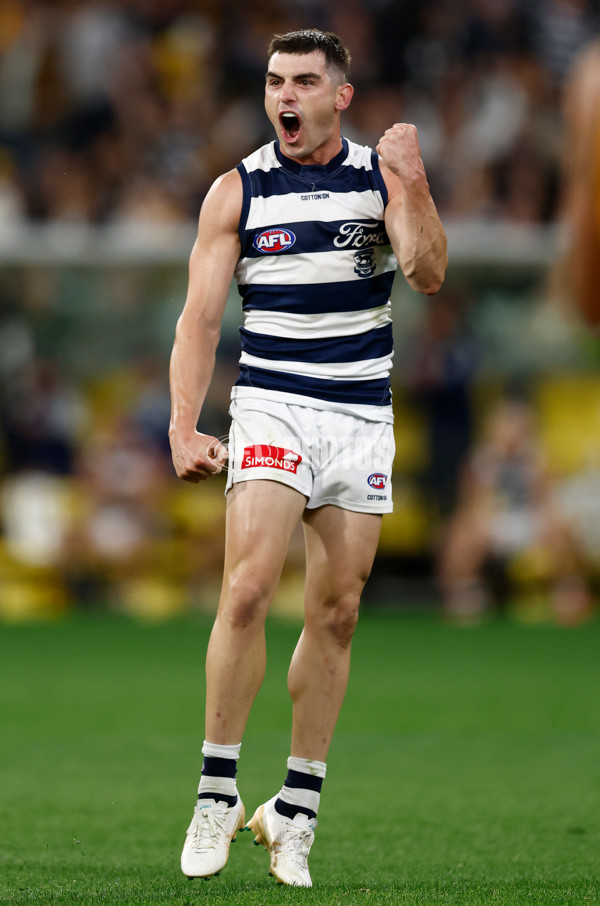 AFL 2025 Round 06 - Geelong v Hawthorn - A-58841896