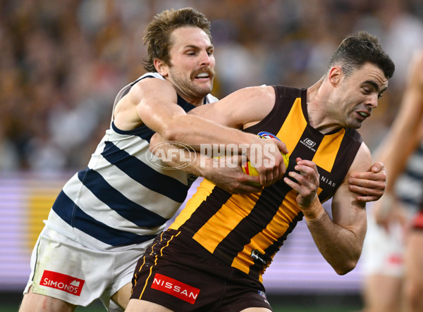 AFL 2025 Round 06 - Geelong v Hawthorn - A-58841901