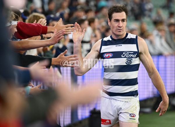 AFL 2025 Round 06 - Geelong v Hawthorn - A-58841913