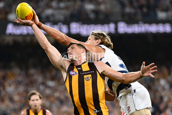 AFL 2025 Round 06 - Geelong v Hawthorn - A-58841920