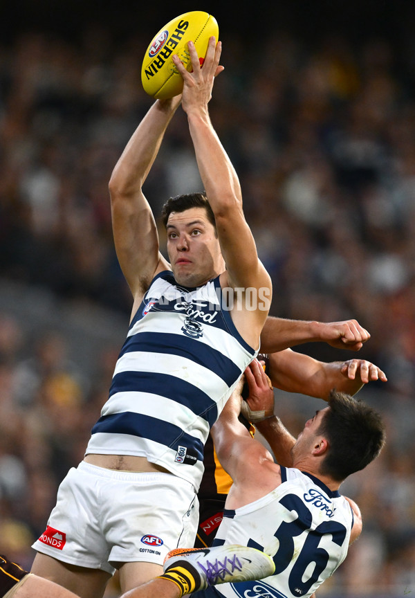 AFL 2025 Round 06 - Geelong v Hawthorn - A-58841923