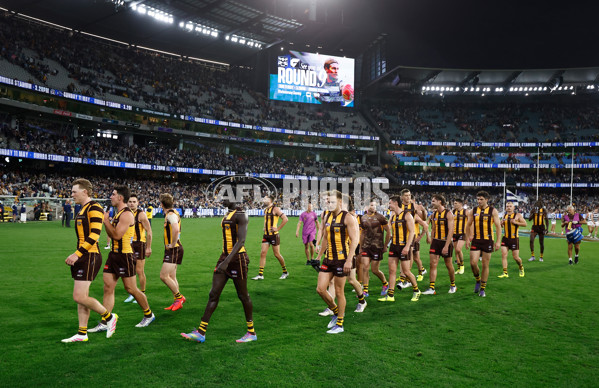 AFL 2025 Round 06 - Geelong v Hawthorn - A-58841960