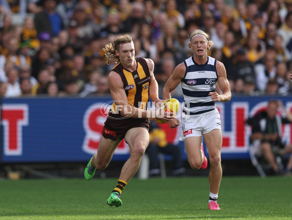 AFL 2025 Round 06 - Geelong v Hawthorn - A-58844446