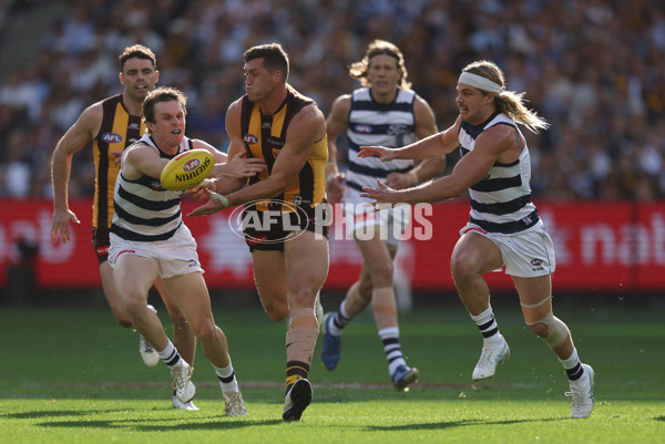 AFL 2025 Round 06 - Geelong v Hawthorn - A-58844546
