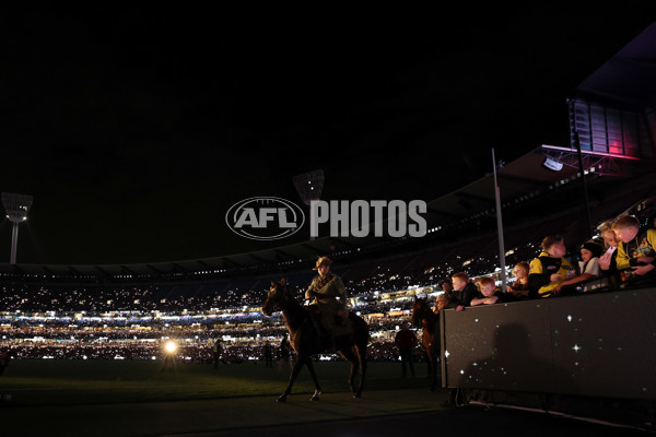 AFL 2025 Round 07 - Melbourne v Richmond - A-58924189