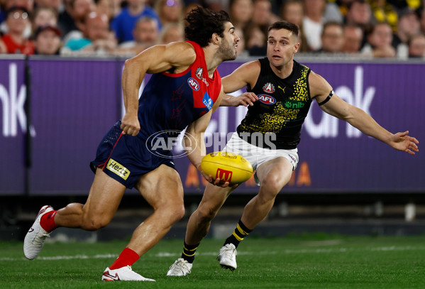 AFL 2025 Round 07 - Melbourne v Richmond - A-58927036