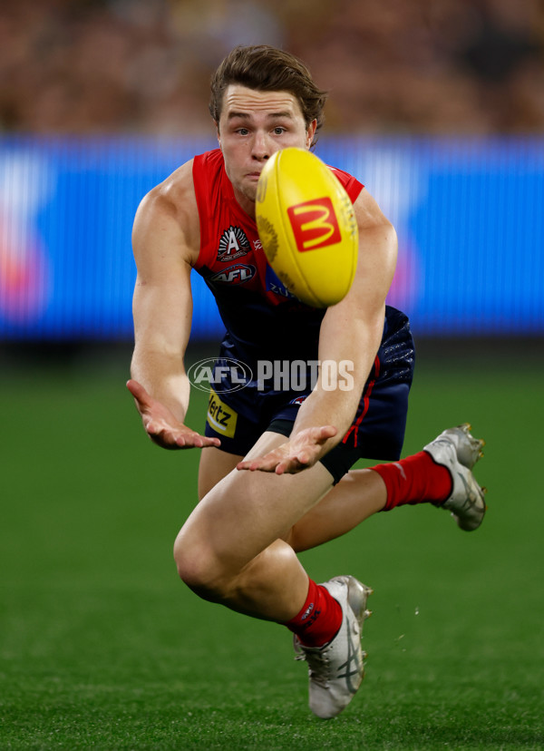 AFL 2025 Round 07 - Melbourne v Richmond - A-58927038