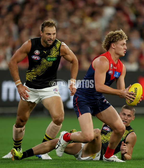 AFL 2025 Round 07 - Melbourne v Richmond - A-58932217